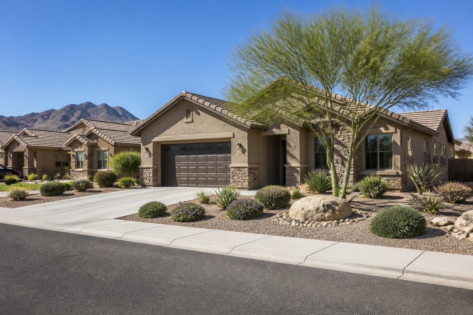 Spacious homes and desert plants along a bright streetscape in Buckeye.